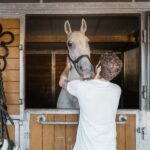 Vienna: Secrets of the Fiaker & Horse-Drawn Carriage Ride - Introduction to the Tour