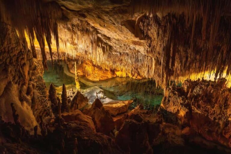 Vienna: Seegrotte Underground lake & Wine Tasting Day Trip - What the Tour Offers in Value