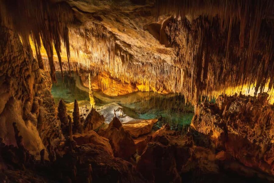 Vienna: Seegrotte Underground lake & Wine Tasting Day Trip - What the Tour Offers in Value