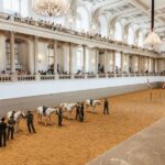 Vienna: Spanish Riding School Training - What Does the Training Involve?