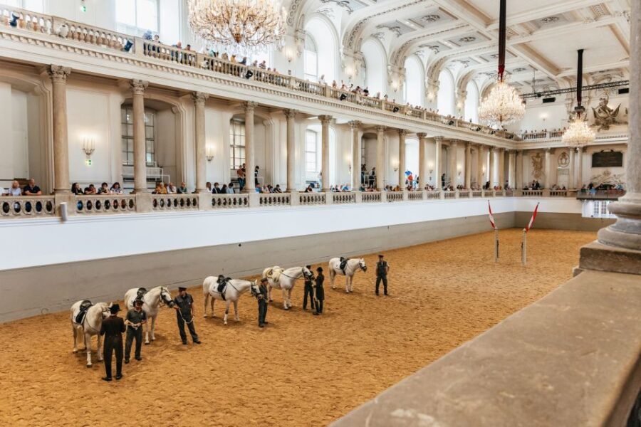 Vienna: Spanish Riding School Training - What Does the Training Involve?