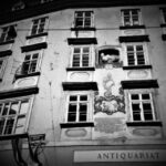 Vienna: Spooky Ghost Tour in English - Who Will Love This Tour?