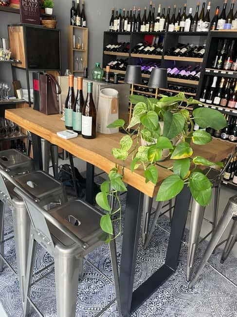 Vienna: Taste Austria the ABCs of Wine - Is This Tour Worth It?