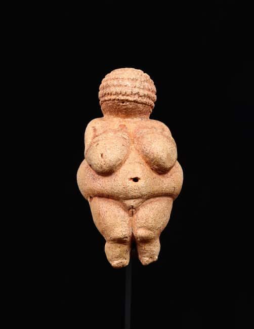 Vienna: Ticket to the Museum of Natural History - Inside the Museum: What to Expect