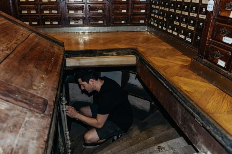 Vienna: Viennese Underworld Guided Walking Tour - Why You Might Want to Book This Tour