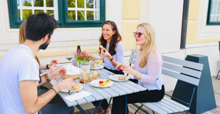 Vienna: Wine Tasting at Schönbrunn Palace - Practical Tips for Visitors