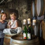 Vienna: Wine Tasting E-Bike Tour - What Makes This Tour Stand Out