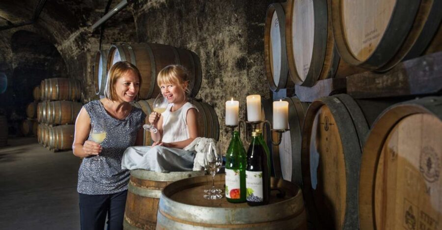 Vienna: Wine Tasting E-Bike Tour - What Makes This Tour Stand Out