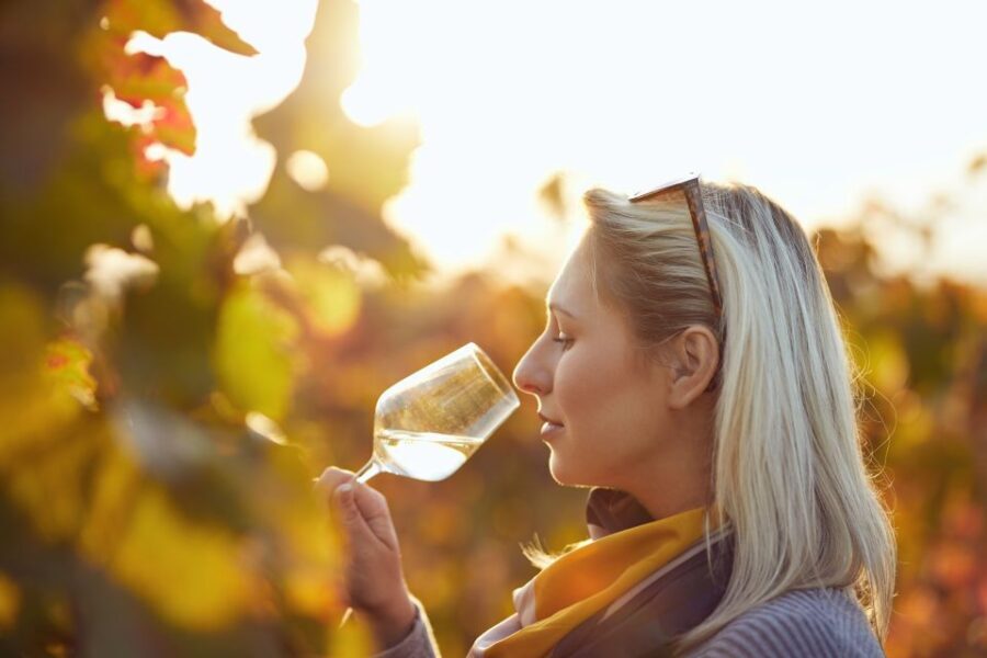 Vienna: Winery and Wine Tasting Tour with a Wine Expert - FAQs