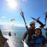 Vík: Paragliding Tandem Flight - The Itinerary Breakdown
