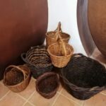 Vila de Frades: Talha Wine Tour with Tastings - The Winemaking Experience