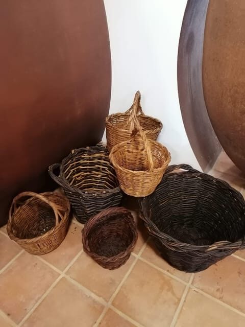 Vila de Frades: Talha Wine Tour with Tastings - The Winemaking Experience