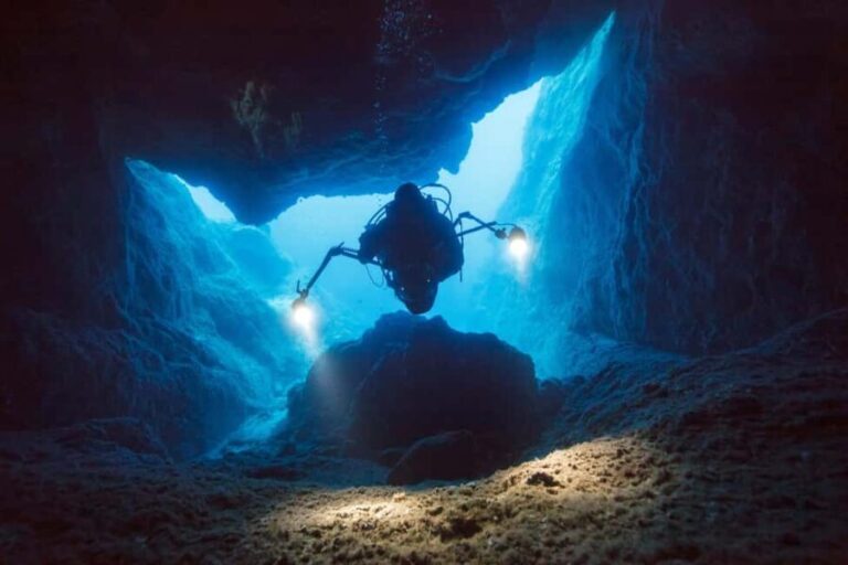 Vila Franca do Campo: Boat Diving Guided Tours twice a day. - Diving Locations and Underwater Highlights