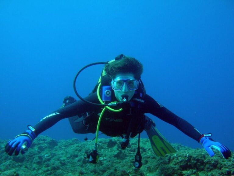 Vila Franca Do Campo: Introduction to Scuba Diving Tour - Who Is This Tour Best Suited For?