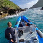 Vila Franca do Campo: Marine Life & Bird Watching & Islet Tour - Who Will Love This Tour?