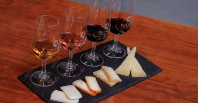 Vila Nova de Gaia: Port Wine Tasting with Cheese Pairing - What to Expect from this Port Wine Tasting in Vila Nova de Gaia
