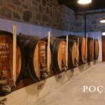 Vila Nova de Gaia: Winery Tour with 2 DOC Douro & 2 Ports - The Practical Side: Logistics and Considerations