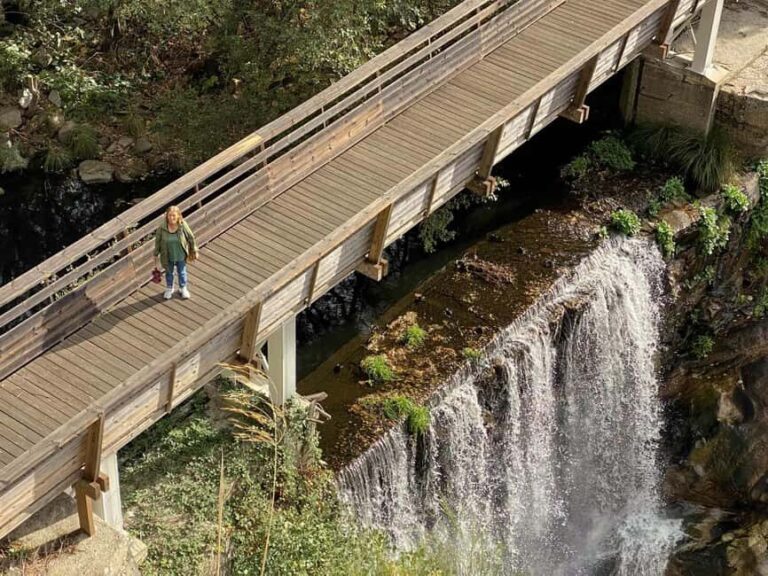 Vila Real: Corgo Walkways & Alvão Natural Park Day Trip - Detailed Breakdown: What the Tour Looks Like