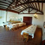 Vilafranca del Penedès: Winery Visit with Tastings - Who Is This Tour Best For?