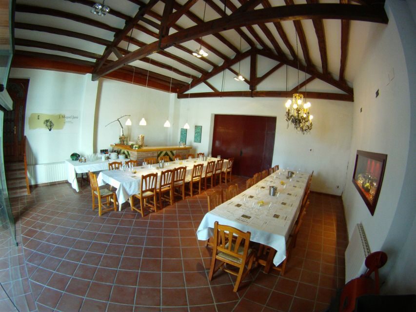 Vilafranca del Penedès: Winery Visit with Tastings - Who Is This Tour Best For?