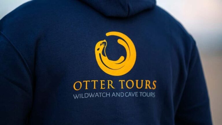 Vilamoura: Benagil Caves and Coastline Boat Tour - The Sum Up