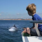 Vilamoura: Boat Tour Dolphin Quest - Setting the Scene for Your Dolphin Quest