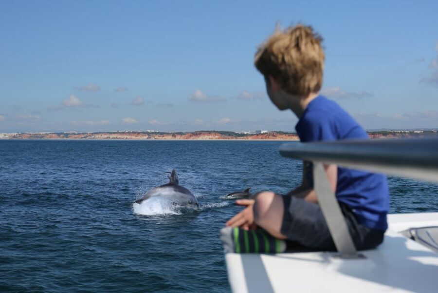 Vilamoura: Boat Tour Dolphin Quest - Setting the Scene for Your Dolphin Quest
