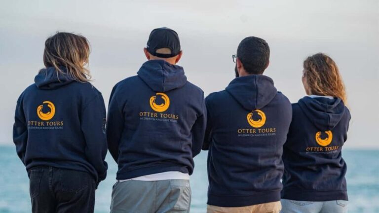 Vilamoura: Private boat Marine Wildlife Watching Safari - The Itinerary and What You Can Expect