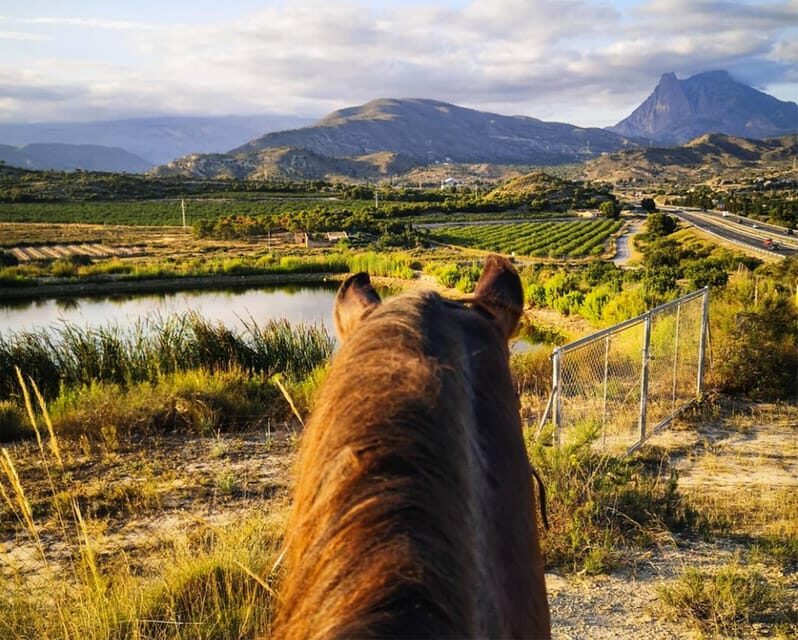 Villajoyosa:2-hour Horseback Riding Tour - The Experience of Riding in Villajoyosas Mountains