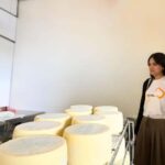 Villanova Monteleone: visit a dairy farm with cheese tasting - Practical Details and Tips