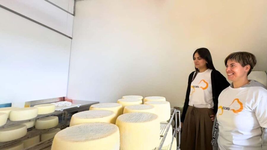 Villanova Monteleone: visit a dairy farm with cheese tasting - Practical Details and Tips