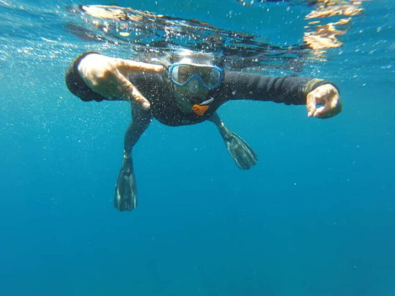 Villefranche-sur-Mer: guided snorkeling to discover the aquatic world - What is Included and What to Bring