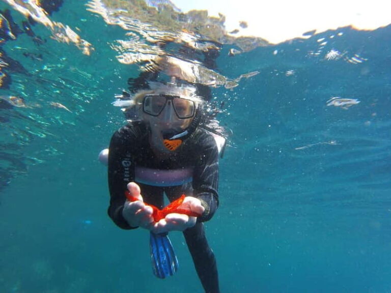 Villefranche-sur-Mer / Nice: snorkeling in privacy on a private boat - The Value of the Experience