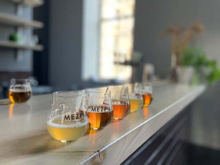 Vilnius: Pub Crawl with Welcome Drink and Traditional Snacks - The Guide and the Experience