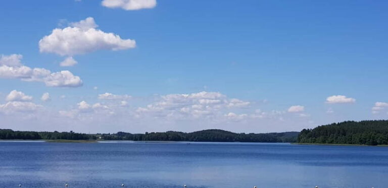 Vilnius: Trakai Castle Half-Day Tour by minivan - What’s Included and What’s Not