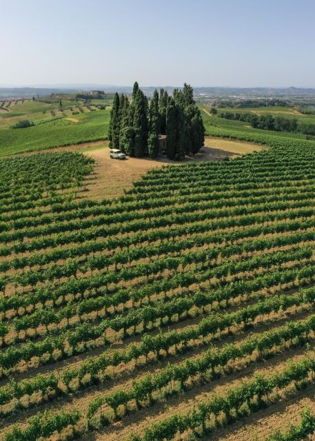 Vinci: wine-experience among the Tuscan hills - The Practicalities and What You Should Know