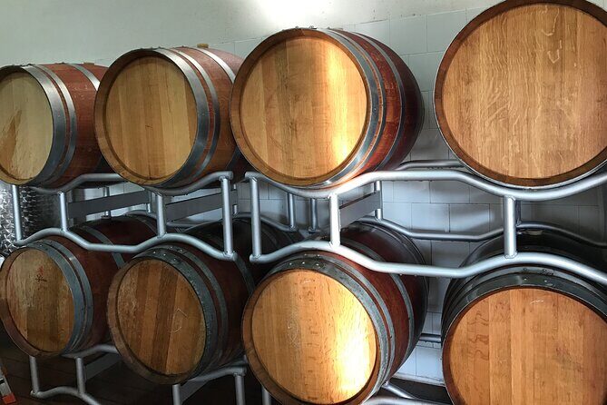 Vineyard experience in Pozzuoli - What We Loved (and Didnt Love) about the Tour