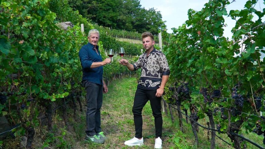 vineyard experience - Authenticity & Customer Feedback