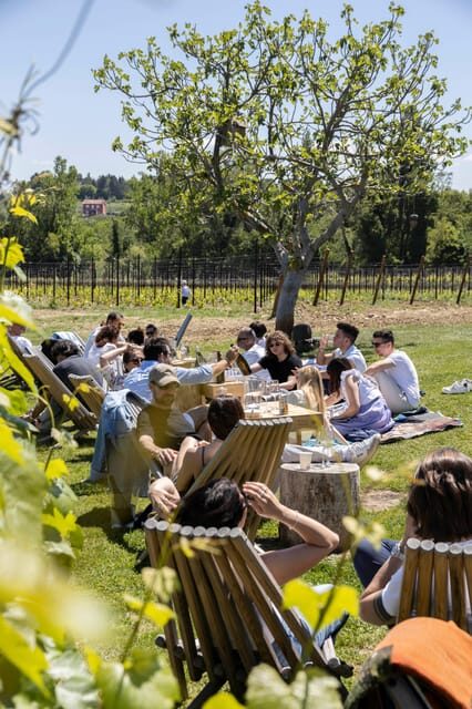 Vineyard Tour and Winery Visit with Tasting of Wines of Romagna - The Value of the Experience