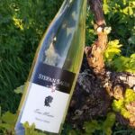 Vineyard tour around Nordheim am Main on the Main Loop - Who Would Enjoy This Tour?