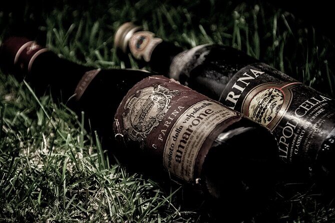 Vineyard Tour with Light Lunch in Valpolicella - Who Should Consider This Tour?