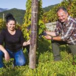 Vineyard Tour with Wine Tasting and Light Lunch near Imperia - Why This Tour Is Worth Considering