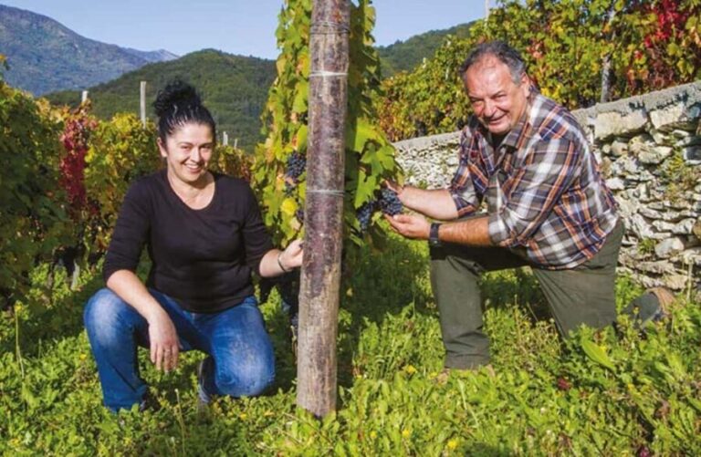 Vineyard Tour with Wine Tasting and Light Lunch near Imperia - Why This Tour Is Worth Considering