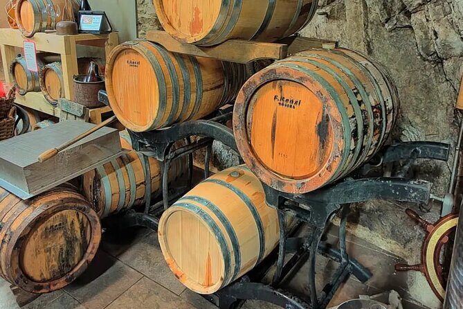 Vineyard Tour with Wine Tasting in Cinque Terre - What to Expect from the Vineyard Tour