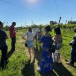 Vineyard Walk & Wine Tasting in the Berici Hills of Vicenza - Analyzing the Price and Value