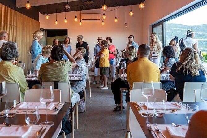 Vineyard Wine Tasting Experience with a Sea view from Split - The Value of This Experience