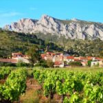 vingrau : wine tasting - What You Can Expect During the Tour