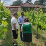 Vinho Verde 2 Wineries + Cultural Guimarães - Private/from Porto - Who Should Consider This Tour?