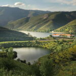 Vinho Verde: Visit 3 Wineries with wine tastings and Lunch - Who Would Enjoy This Tour?