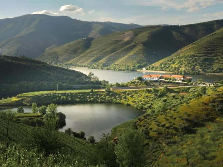 Vinho Verde: Visit 3 Wineries with wine tastings and Lunch - Who Would Enjoy This Tour?